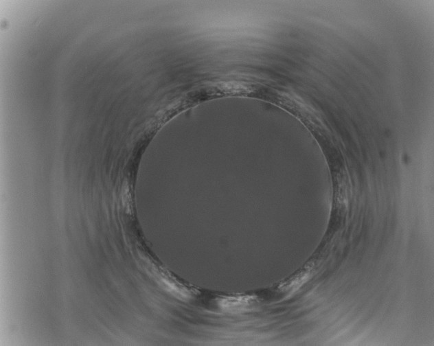 X0000076450465200610161316