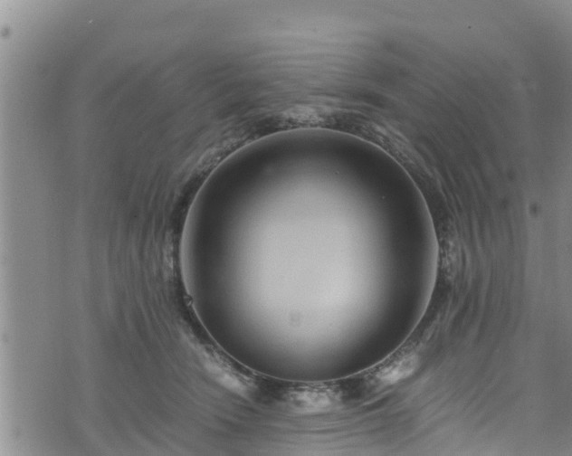 X0000076450466200610161316