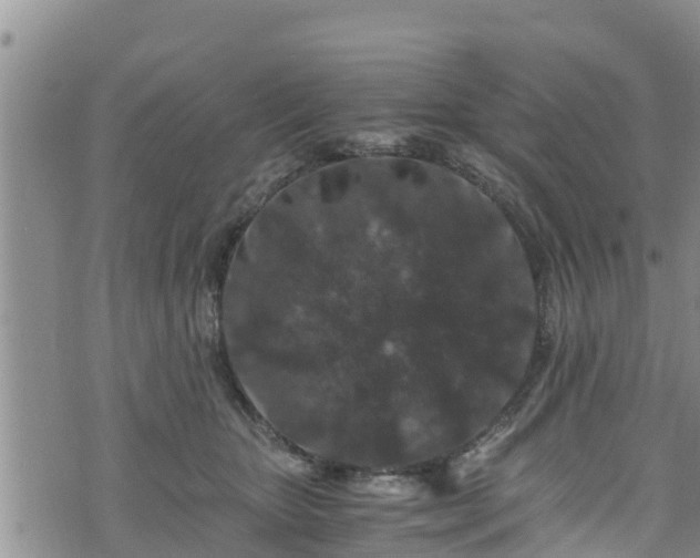 X0000076450467200610161316