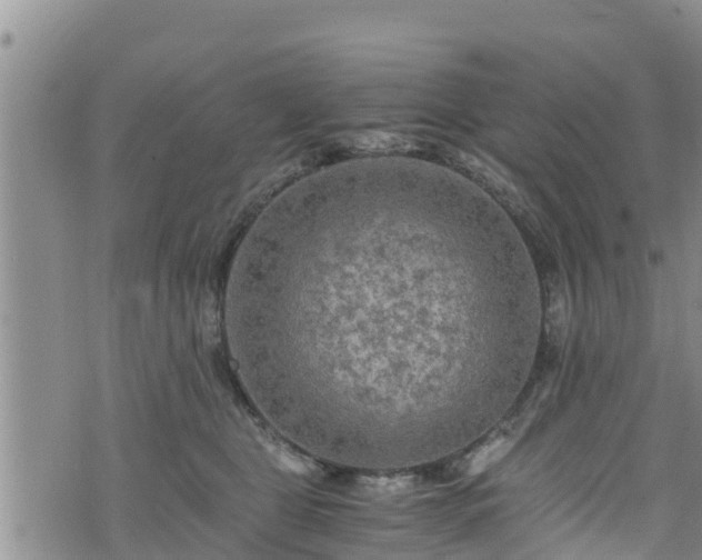 X0000076450469200610161316