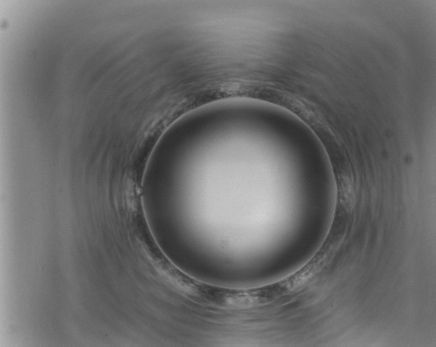 X0000076450470200610161316