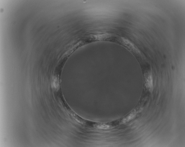 X0000076450471200610161316