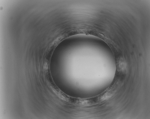 X0000076450472200610161316