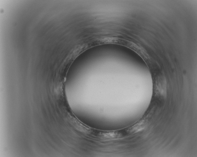 X0000076450473200610161316