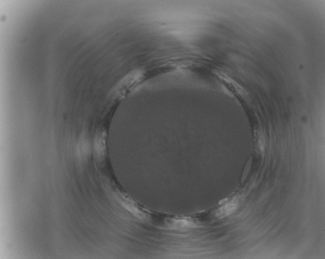 X0000076450475200610161316