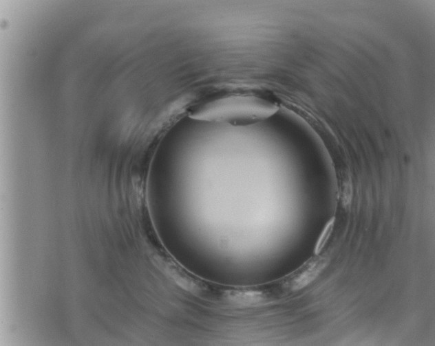 X0000076450476200610161316