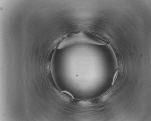 X0000076450477200610161316