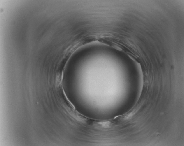 X0000076450478200610161316