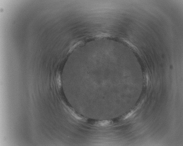 X0000076450479200610161316