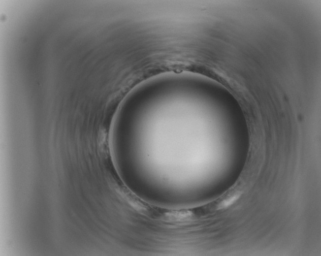 X0000076450480200610161316