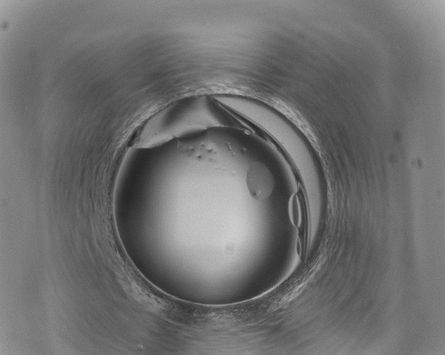 X0000076450481200610161315