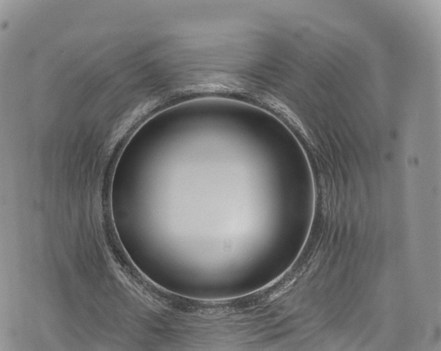 X0000076450482200610161315