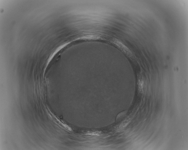 X0000076450484200610161315