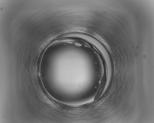 X0000076450485200610161315