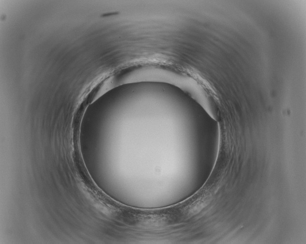 X0000076450486200610161315