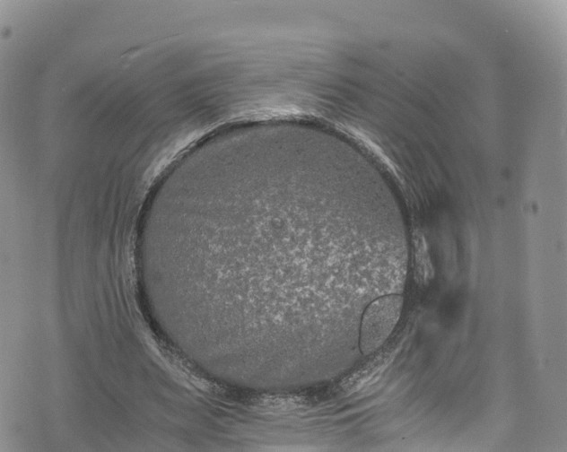 X0000076450487200610161315