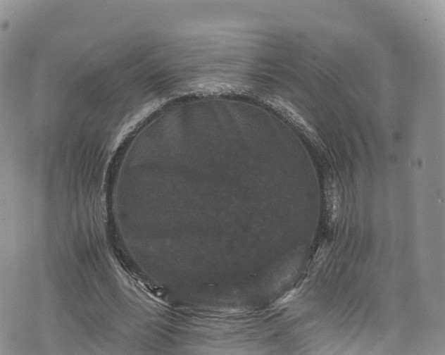 X0000076450488200610161315