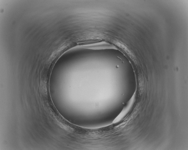 X0000076450489200610161315