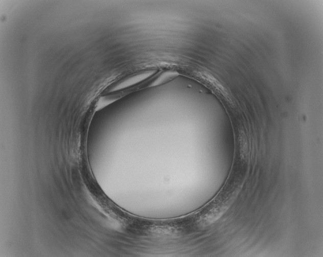 X0000076450490200610161315