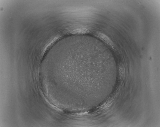 X0000076450491200610161315