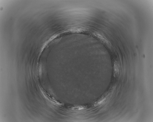 X0000076450492200610161315