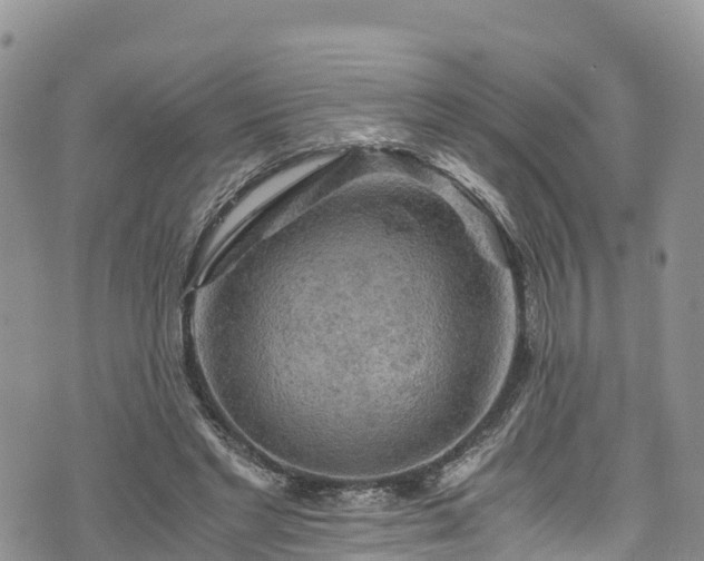 X0000076450493200610161315