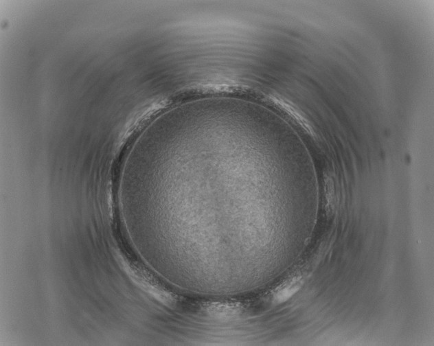 X0000076450494200610161315