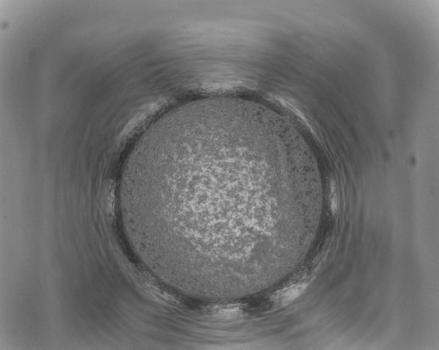 X0000076450495200610161315