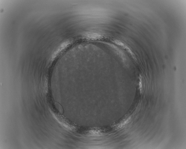 X0000076450496200610161315