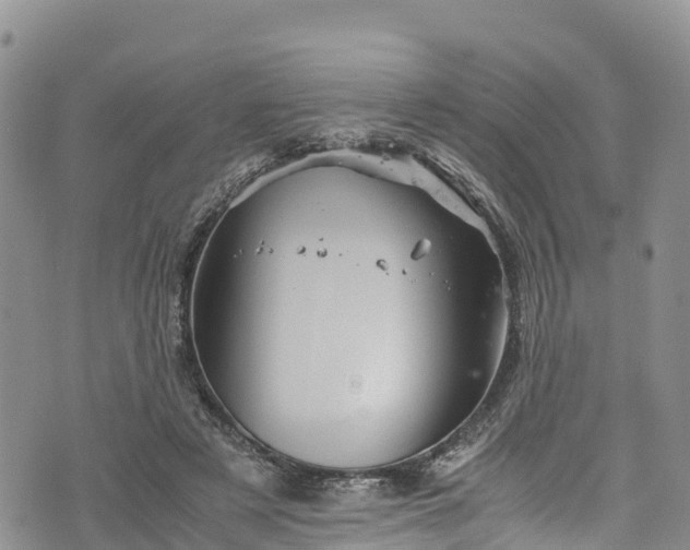 X0000076450497200610161315