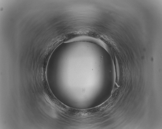 X0000076450498200610161315