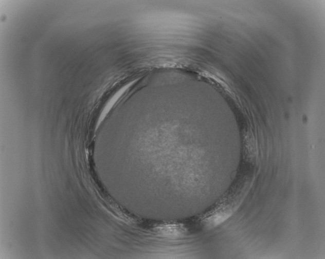 X0000076450499200610161315