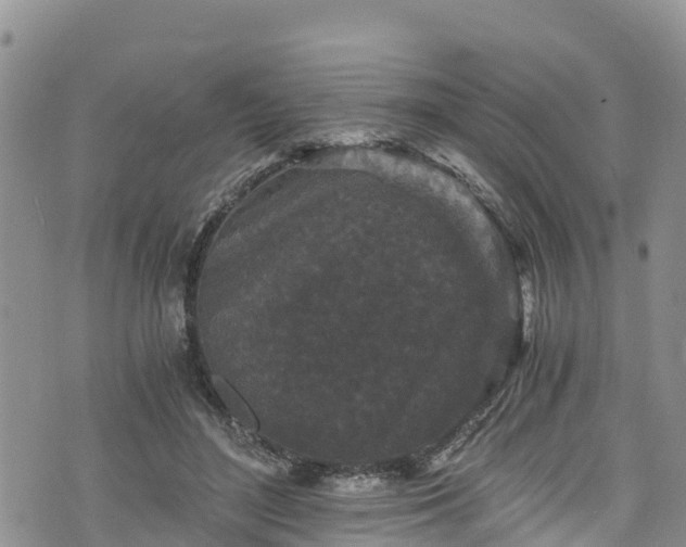 X0000076450500200610161315