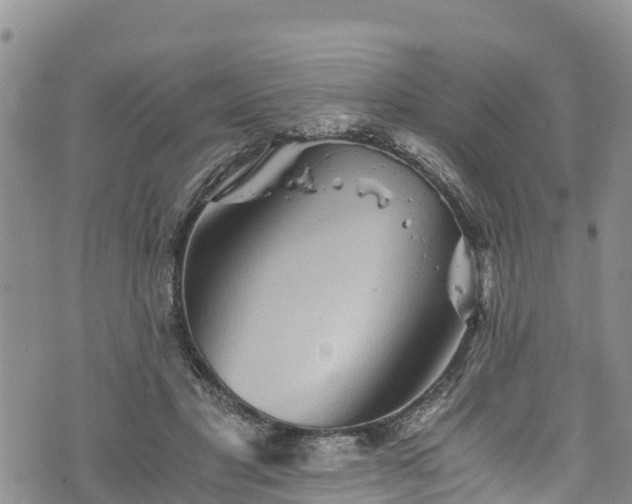 X0000076450501200610161315