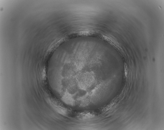 X0000076450502200610161315