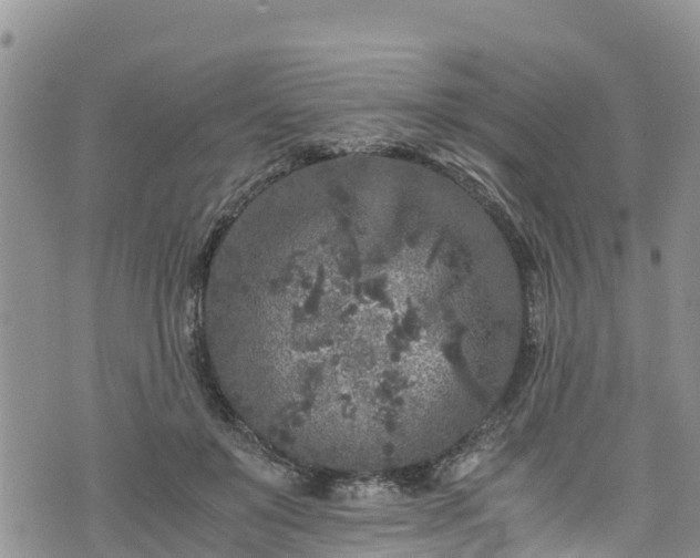 X0000076450503200610161315