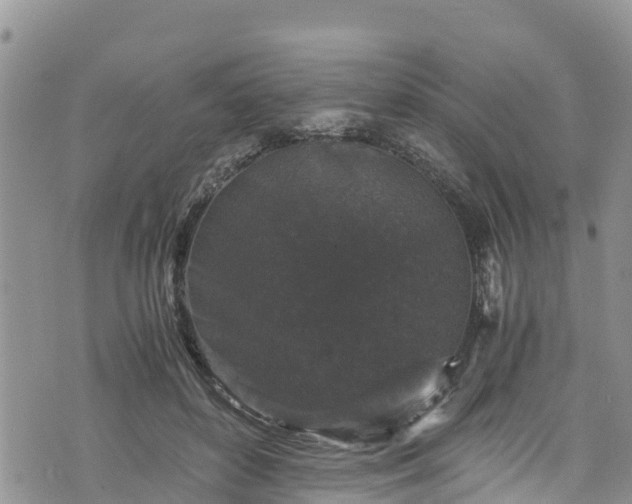 X0000076450504200610161315