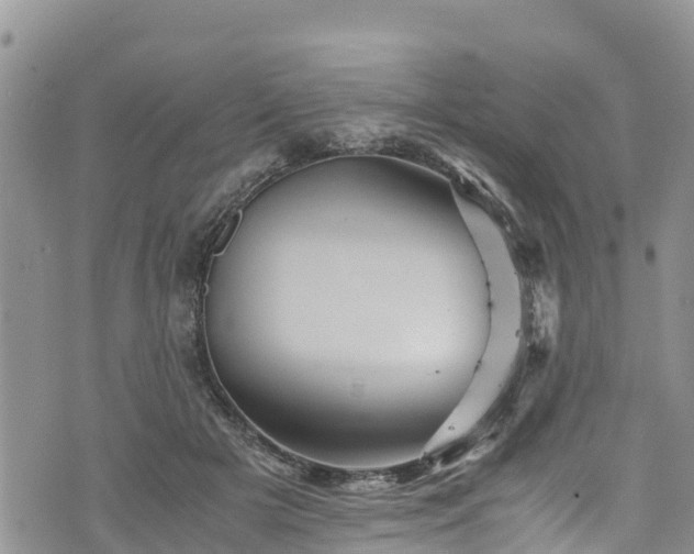 X0000076450505200610161315