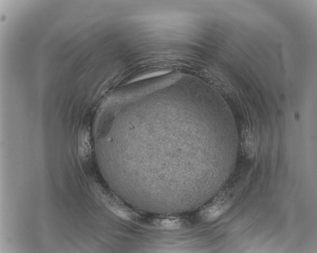 X0000076450506200610161315