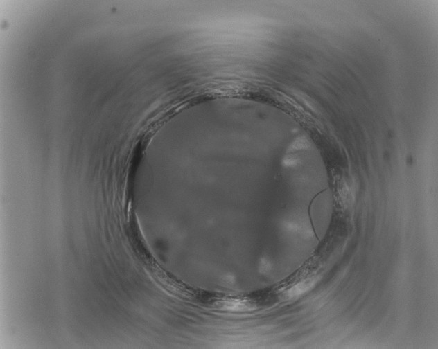 X0000076450507200610161315