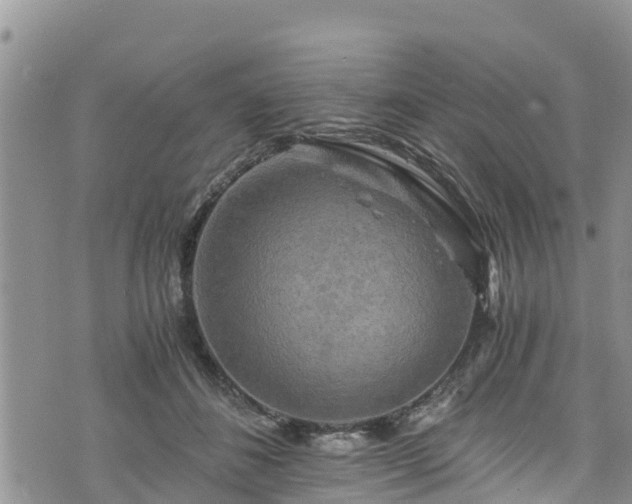 X0000076450508200610161315