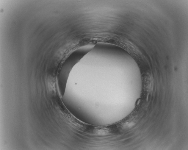 X0000076450510200610161315