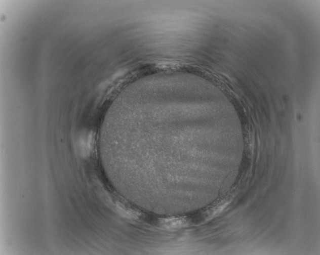 X0000076450511200610161315