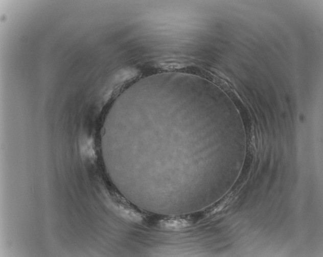 X0000076450512200610161315