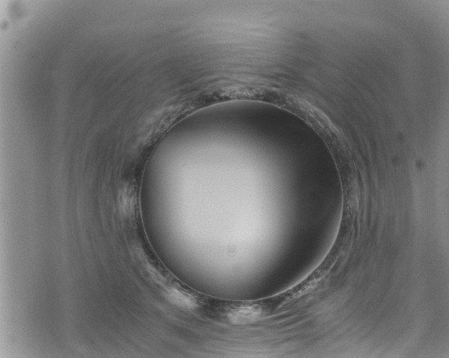 X0000076450513200610161315