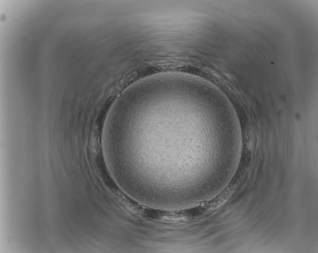 X0000076450515200610161315