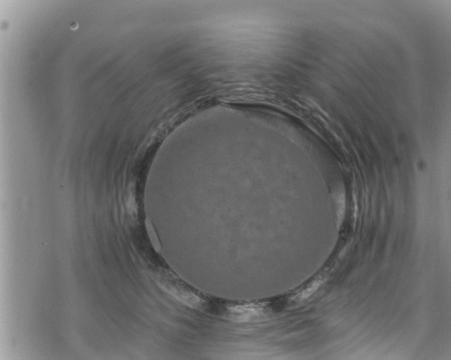 X0000076450516200610161315