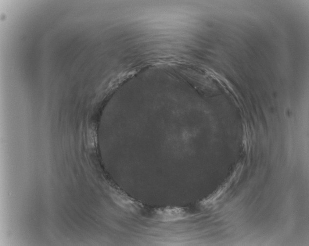 X0000076450517200610161315