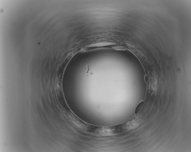 X0000076450518200610161315