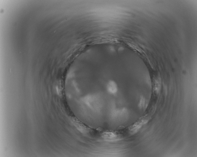 X0000076450519200610161315